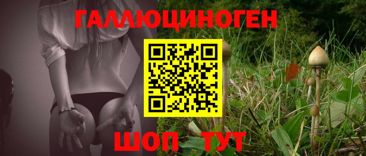 Псилоцибиновые грибы Psilocybe  Вход с VPN  Галлюциногенные грибы Psilocybine cubensis  Отрадное 
