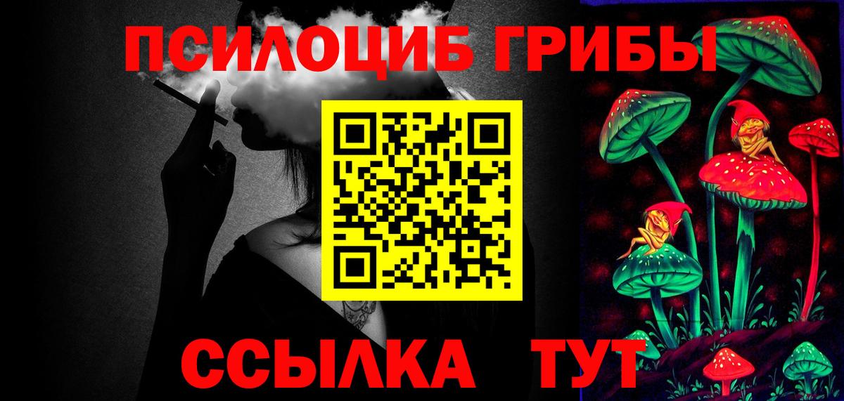 Галлюциногенные грибы Psilocybine cubensis Отрадное